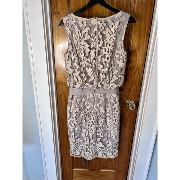 Tadashi Shoji Size 8 Lace Overlay Sheath Dress Neutral Wedding Formal MOB - Picture 2 of 8